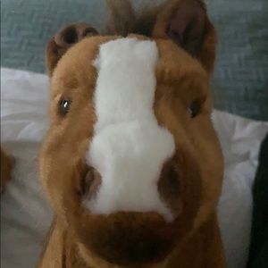 Meet your Posher, Summer